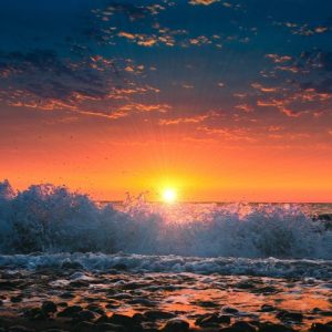 Read more about the article Between Duty and Self: The Silent Struggles of Caregiving